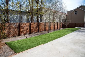A long wooden fence runs along a grassy area.